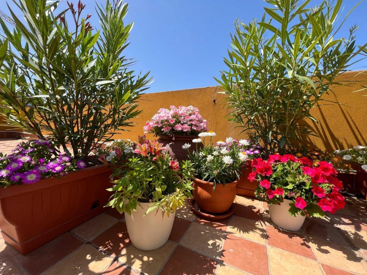 Casa Yvona Apartment Alghero Ngoại thất bức ảnh